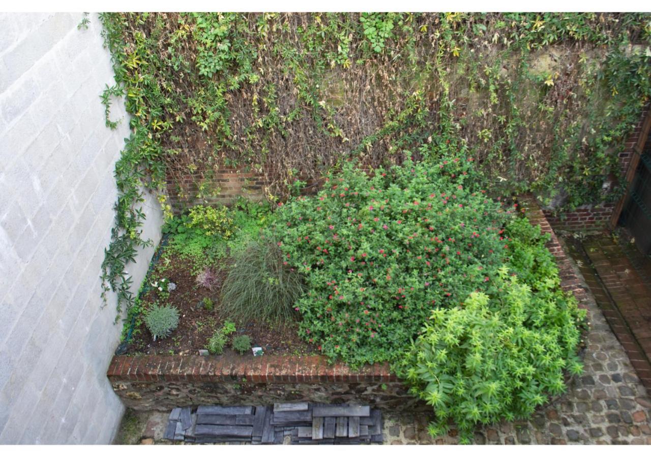 Le Charme D'antan - Terrasse - Balcon - Hypercentre *